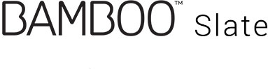 bamboo-slate-logo